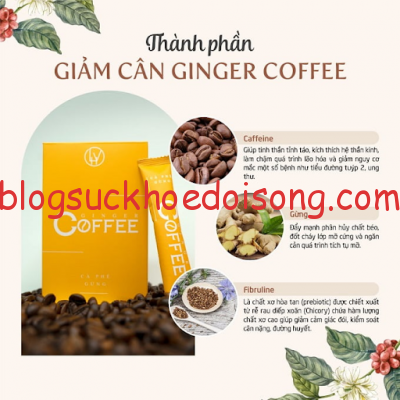 review-gung-giam-can-ginger-coffer-2